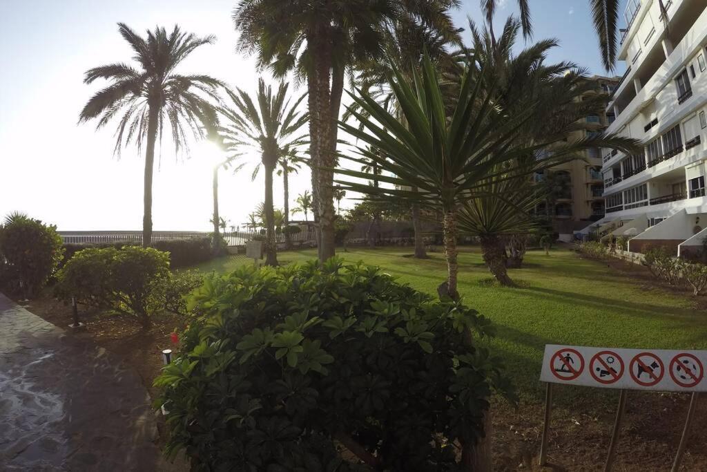 Arguineguin Studio Apartment La Lajilla Located At Beachfront מראה חיצוני תמונה